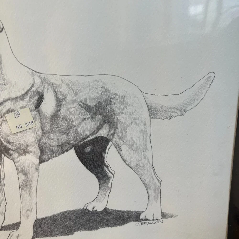 2/$50 🌸 Vintage 1974 Labrador Sketch - Picture 3 of 8